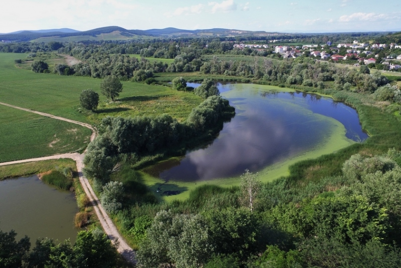 Obec Streda nad Bodrogom Obec Streda nad Bodrogom